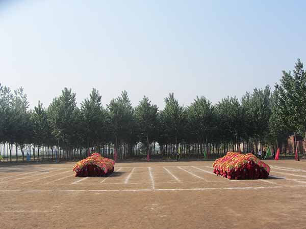 亮星小學(xué)2015年春季運(yùn)動會